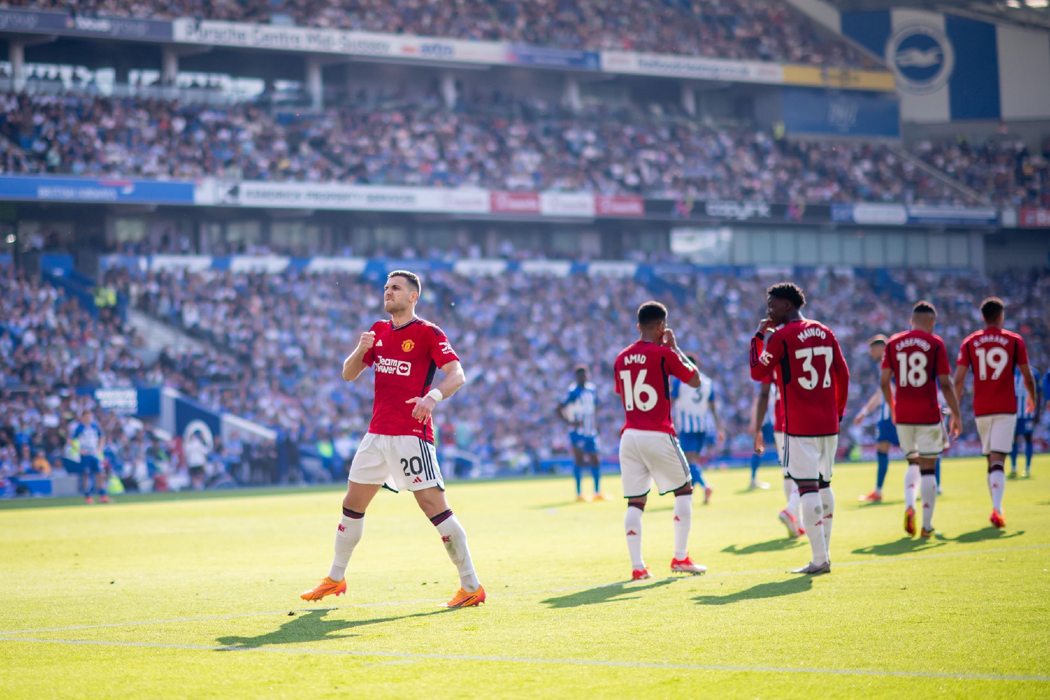 球迷對於新 球迷對於新